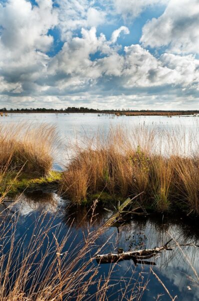 Landschaft im Artland