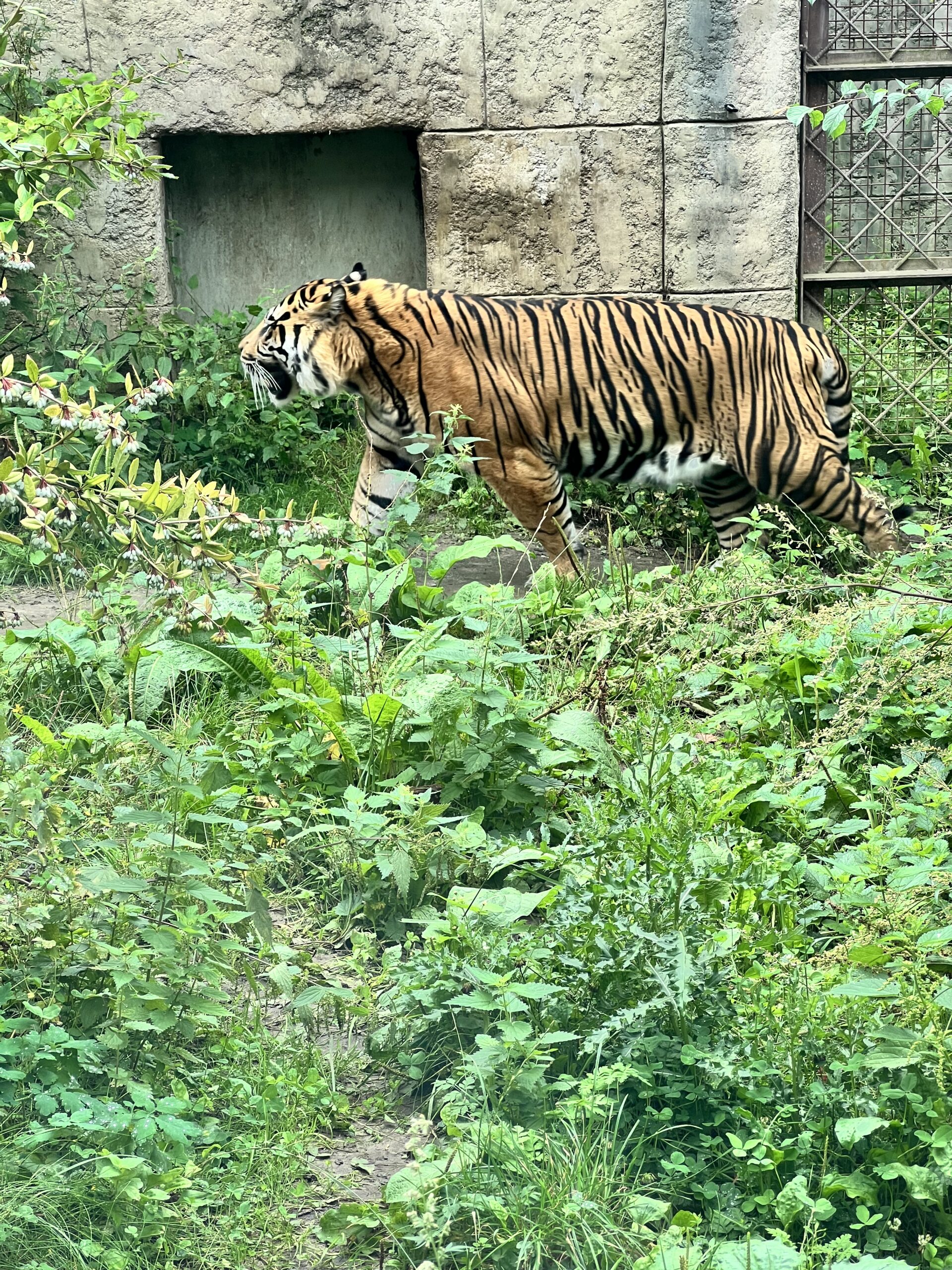 Zoos in der Region Artland