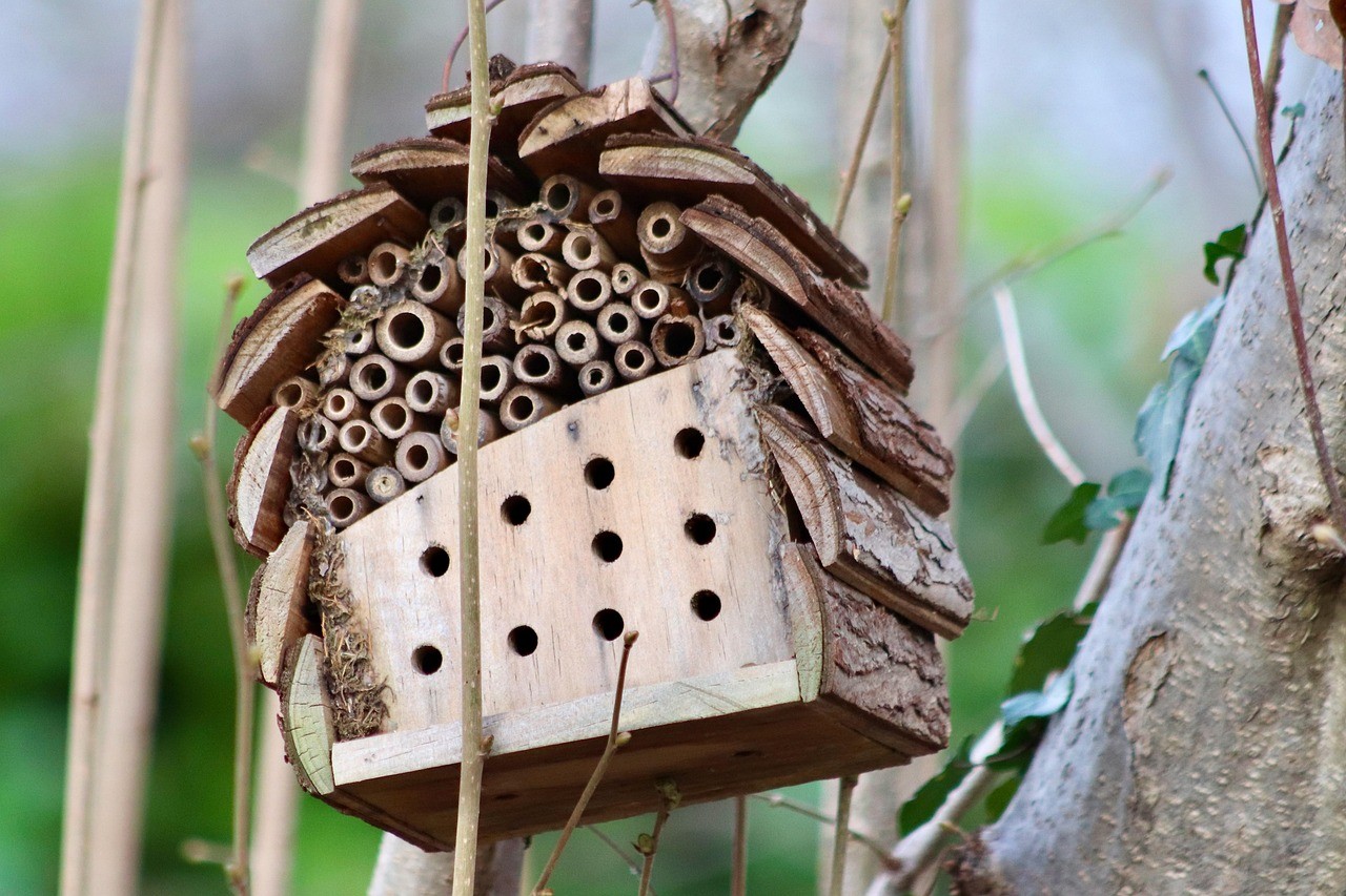 Naturschutz im Artland